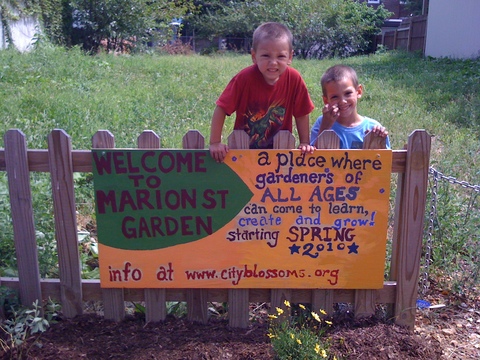 marion st garden