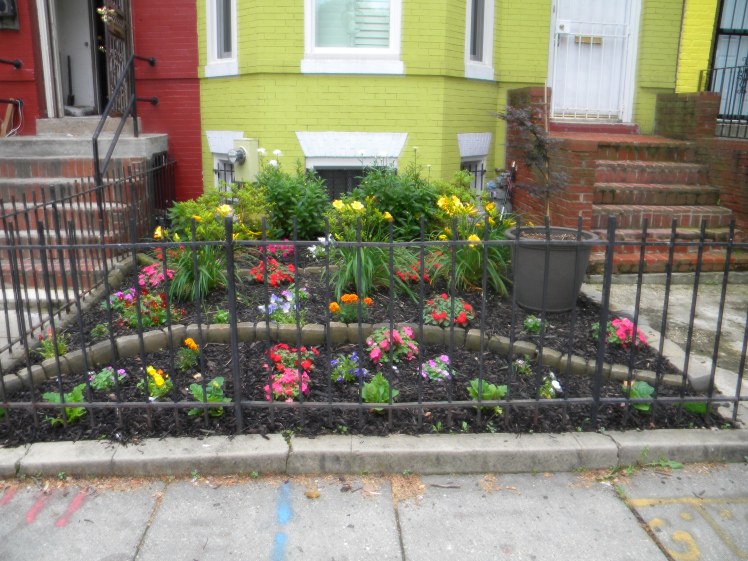 2010 Small Yard Winner