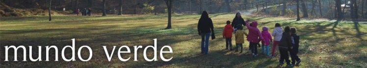 Mundo Verde PCS