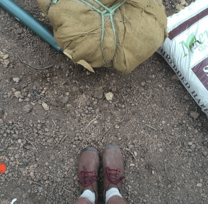 Mundo Verde PCS Truxton Circle tree planting 2015 05 09