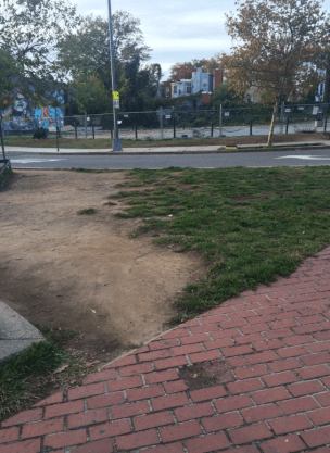 Bloomingdale clean-up North Cap & Fla 2015 10 29 #2