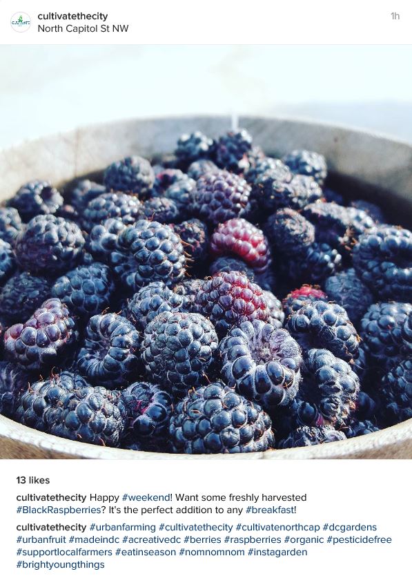 CultivateTheCity 2016 06 11