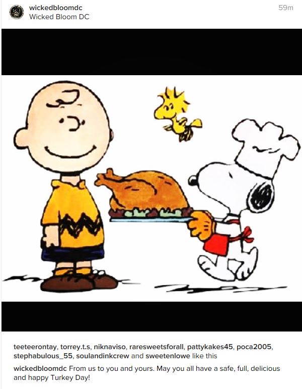 wicked-bloom-2016-11-24