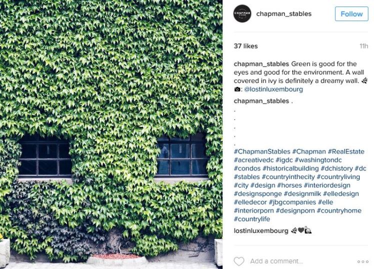 chapman_stables-2016-12-06-1