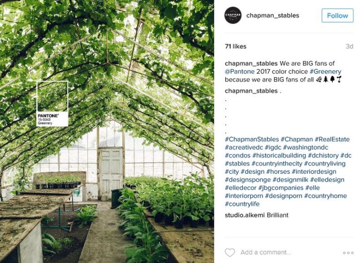 chapman_stables-2016-12-16-3