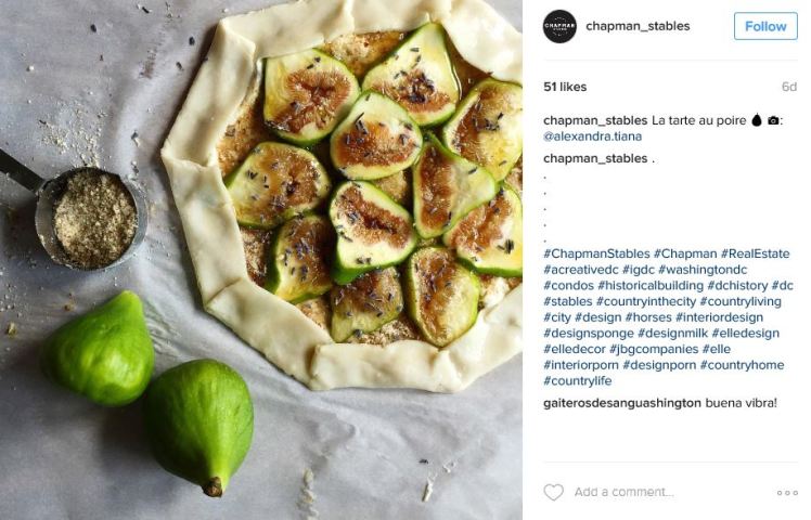 chapman_stables-2016-12-31-4