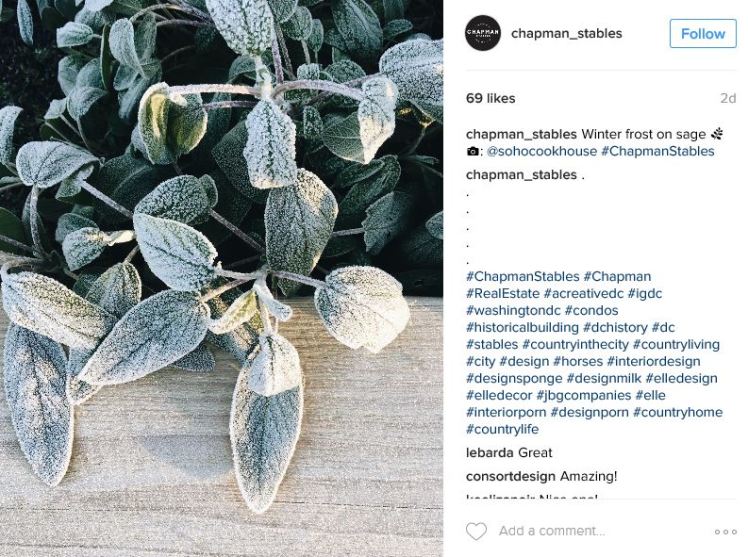 chapman_stables-2016-12-31-6