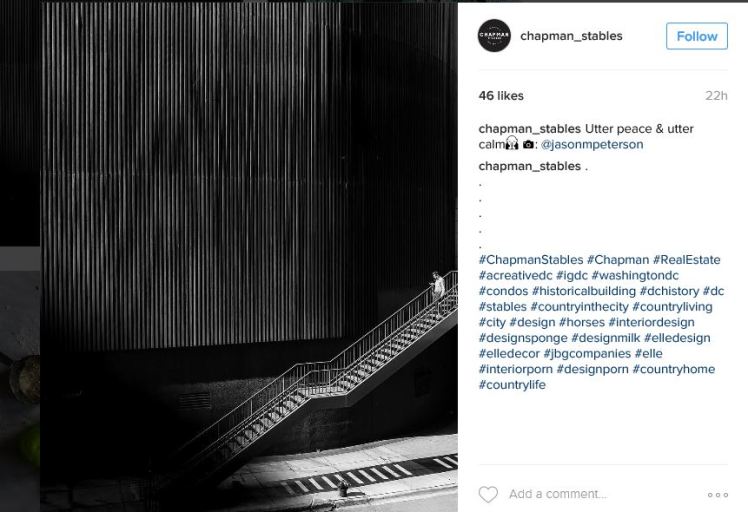 chapman_stables-2016-12-31-7