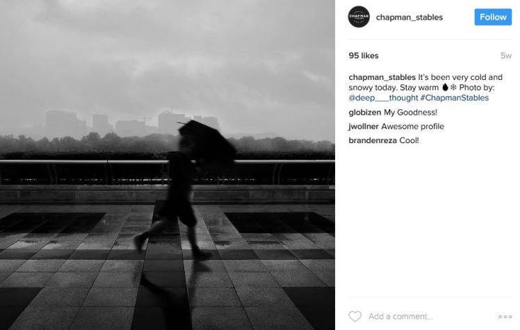 chapman_stables-2017-02-12-3