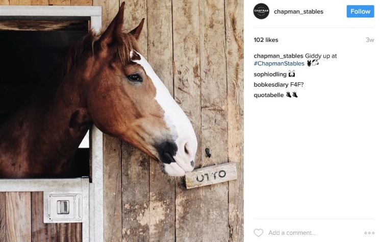 chapman_stables-2017-02-12-6